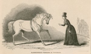 Mademoiselle Caroline aux jardins de Vauxhall, Londres - English School