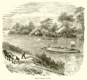 Île de la Magna Carta - English School