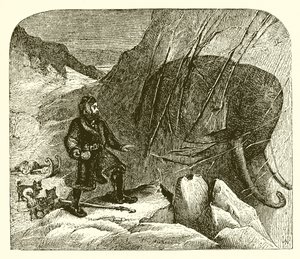 Mammouth dans la glace