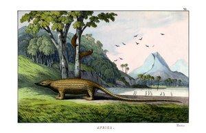 Pangolin - English School