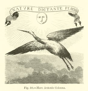 Marc Antonio Colonna