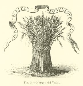 Marquis del Vasto