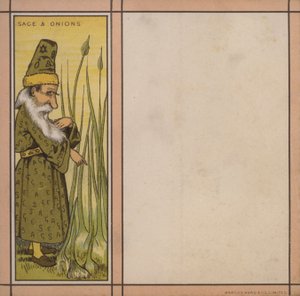 Illustration de menu : Sauge et oignons
