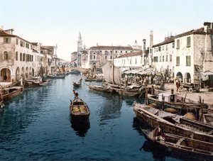 Mercato di Pesce, Chioggia - English School