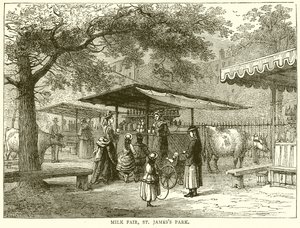 Milk Fair, St. James