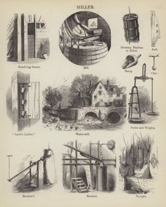 Miller (gravure)