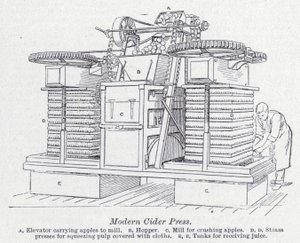 Presse à cidre moderne - English School