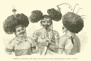 Modes de coiffure pratiquées par les habitants de Nouvelle-Guinée - English School