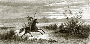 Cavalier Mohave - English School