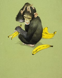 Singe avec des bananes