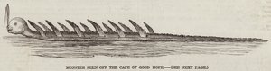 Monstre vu au large du Cap de Bonne-Espérance (gravure) - English School
