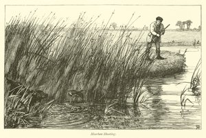 Chasse à la poule d