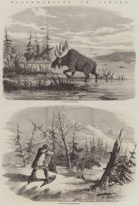 Chasse à l