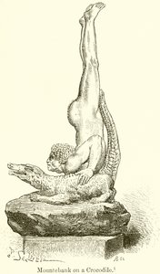 Charlatan sur un crocodile - English School