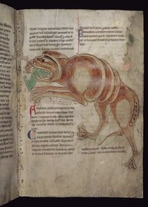 Ms.254 f.24 r Cocodrillus avalant un homme - English School