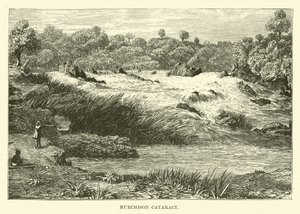 Cataracte de Murchison