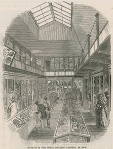 Musée dans les jardins botaniques royaux, à Kew - English School