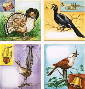 Oiseaux instruments de musique - English School