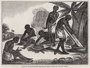 Natifs de Madagascar préparant du pain à partir de racine de manioc - English School