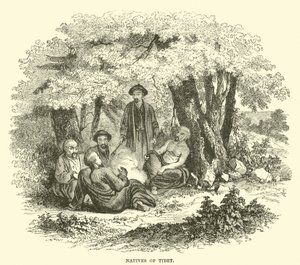 Natifs du Tibet - English School