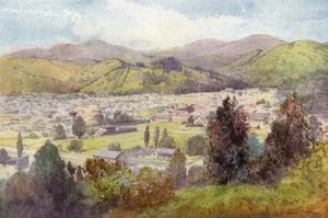 Nouvelle-Zélande : Nelson (lithographie couleur) - English School