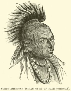 Type de visage indien nord-américain, Ojibway - English School