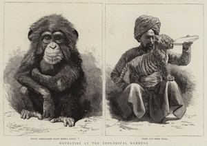 Nouveautés au jardin zoologique