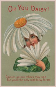 Oh toi marguerite! - English School