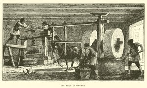 Moulin à huile en Grèce