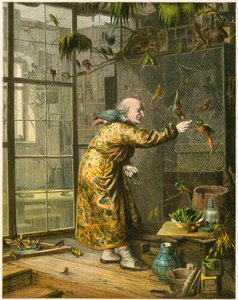 Vieil homme dans sa volière - English School