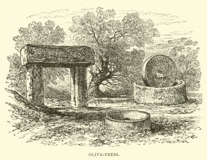 Presse à olives - English School