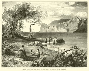 Oliveraie sur le rivage du lac de Garde, près de Torbole