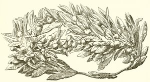 Couronne d