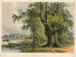 Sur la Tamise, près de Putney, Londres - English School