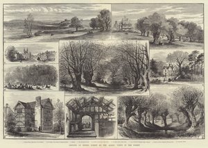 Ouverture de la forêt d