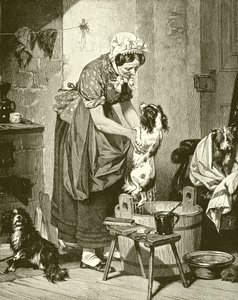 Ordre du bain - English School