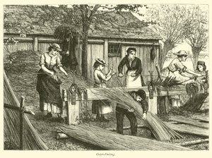 Épluchage d