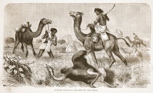 Chasse à l