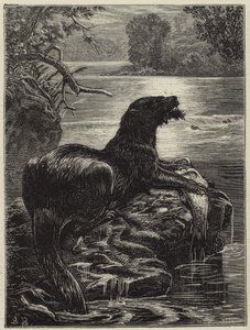 Chasse à la loutre dans le nord - English School