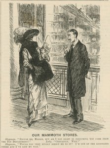 Nos magasins mammouths - English School
