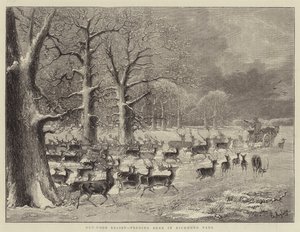 Secours en plein air, nourrir les cerfs dans le parc de Richmond (gravure) - English School