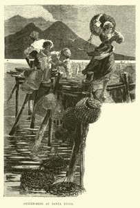Parcs à huîtres à Santa Lucia - English School