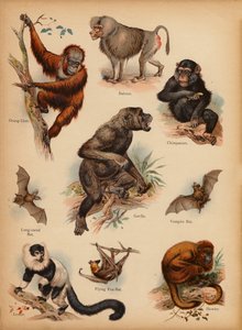 Page de L