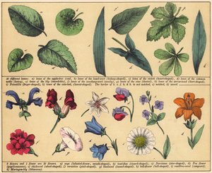 Page du Nouveau Livre d
