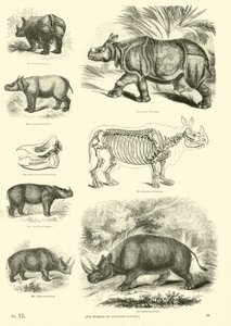 Page du Musée Pictural de la Nature Animée