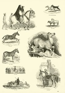 Page du Musée Pictural de la Nature Animée