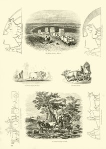 Page du Musée Pictural de la Nature Animée - English School