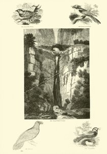 Page du Musée Pictural de la Nature Animée