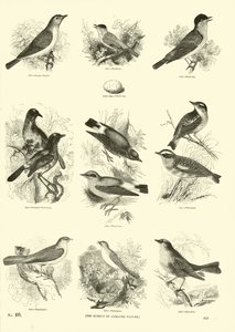 Page du Musée Pictural de la Nature Animée