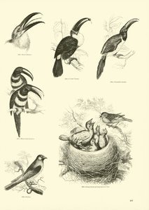 Page du Musée Pictural de la Nature Animée